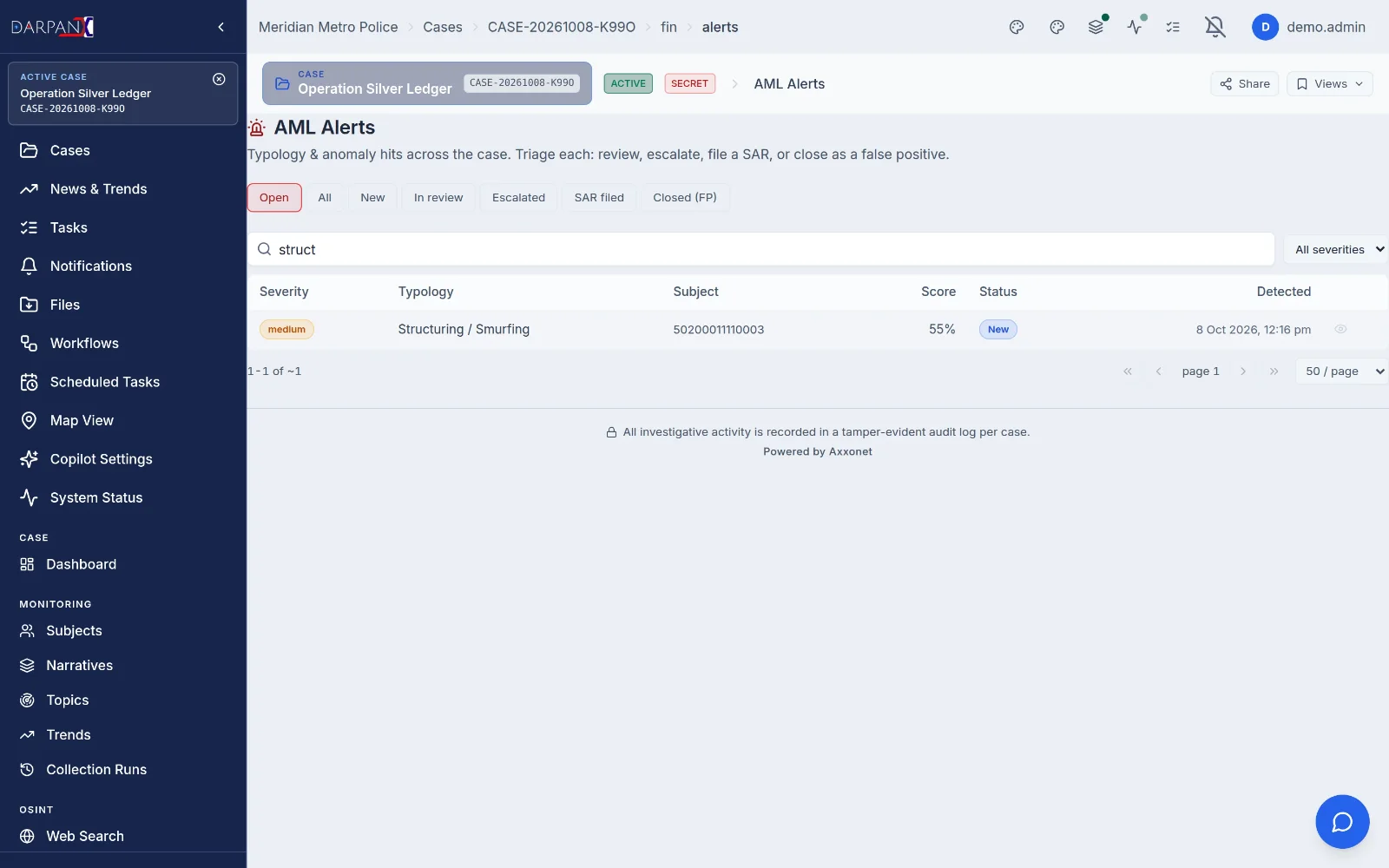 AML findings, fictional demo data
