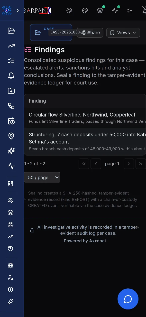 Findings with cited evidence, fictional demo data