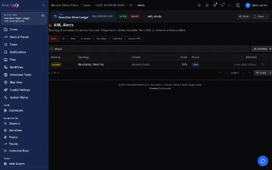 AML alerts, fictional demo data