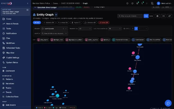 entity graph, fictional demo data